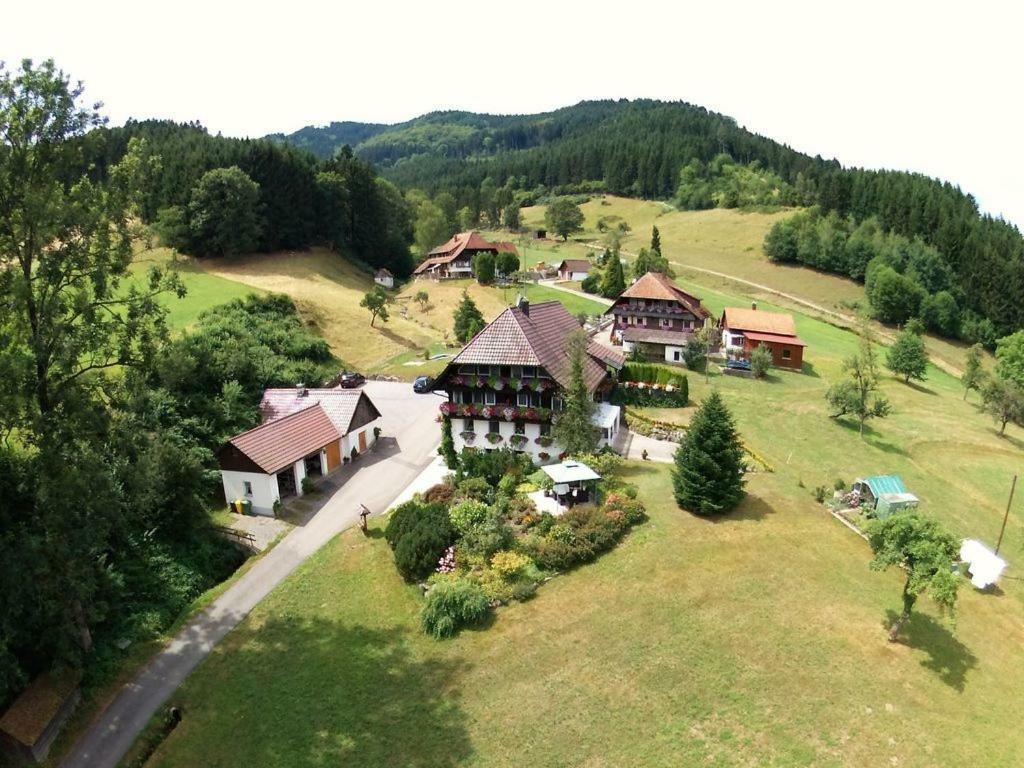 Haus Schneider Apartment Gutach Bagian luar foto